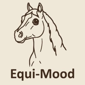 Figurines Equi-Mood